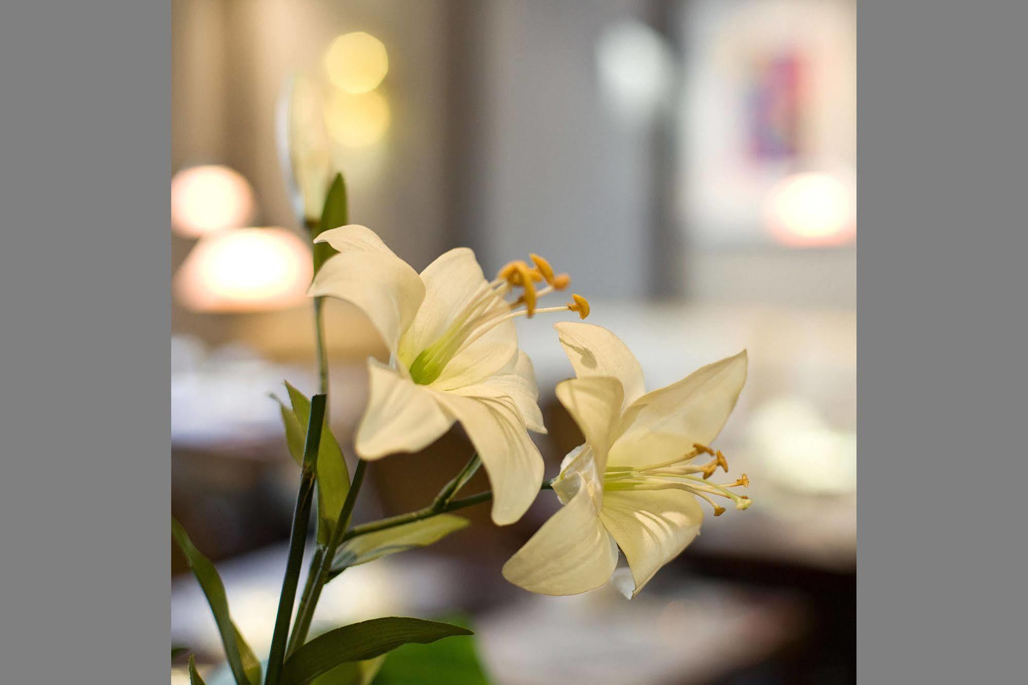 Hotel Gildors